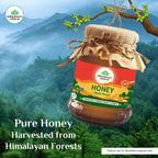 Organic India Multi Floral Honey 250g & 500g