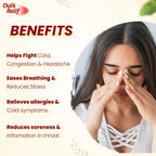 Leeford Quik Relif Inhalator gegen Erkältung, Husten und verstopfte Nase, 0,5 ml