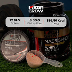 Leeford Megagrow Mass Gainer Milk Chocolate Flavour With Shaker Powder 1 Kg