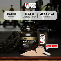 Leeford Megagrow Mass Gainer Banana Flavour With Shaker Powder 1 Kg