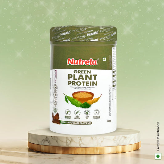 Patanjali Nutrela Grünes Pflanzenprotein Schokoladenpulver 500g