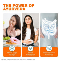 Himalaya Wellness Herbal Ayurvedic Ayurslim Natürlich fit bleiben Kapseln