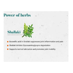 Himalaya Pure Herbs Bone &amp; Joint Wellness Herbal Ayurvedic Shallaki Reduziert Schmerzen und Entzündungen 60 Tabletten
