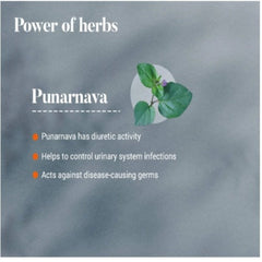 Himalaya Pure Herbs Urinary Wellness Herbal Ayurvedic Punarnava Das, was den Körper verjüngt oder erneuert, 60 Tabletten