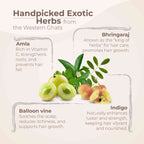 AVP Ayurvedic Kesini Bringadi Hair Thailam Oil