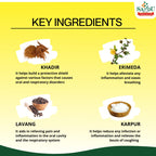 Sandu Ayurvedic Khadiradi Gutika 25 Tablets