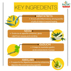 Sandu Ayurvedic Bhunimbadi Kadha Liquid