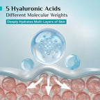 Pilgrim Korean Rice Water Hydra Glow Moisturizer Gel 100g