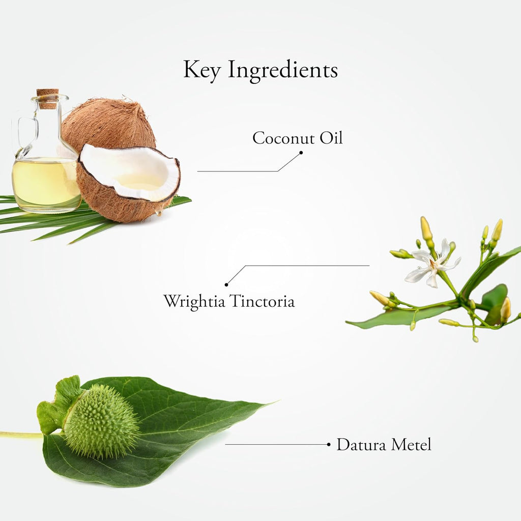 Sitaram Ayurveda Scurf Herbal Hair Oil 100ml