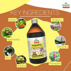 Sandu Ayurvedic Dashmularishta Liquid
