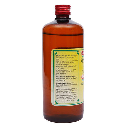 Baidyanath Ayurvedische Gorakh Mundi Ark Flüssigkeit 450ml