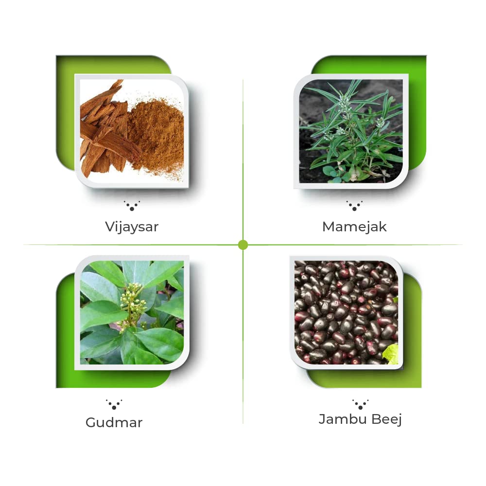 Vital Care Ayurvedic Gluset Forte 100 Capsule