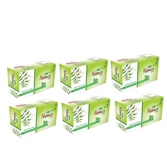 Alive Ayurvedic Neemco Natürliche Neem-Tulsi-Seife, 100 g (6er-Pack) 