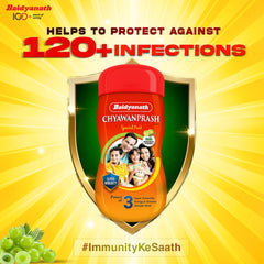 Baidyanath Ayurvedic Chyawanprash Special Immunity Booster For Strength Paste