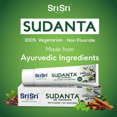 Sri Sri Tattva Sudanta Toothpaste Non Fluoride 100% Vegetarian Charcoal & Salt Gel 100gm
