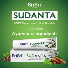 Sri Sri Tattva Sudanta Toothpaste Charcoal & Salt Gel 100gm