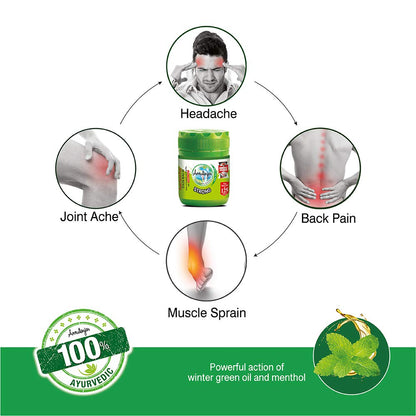 Amrutanjan Health Care Amrutanjan Ayurvedic Back Pain Roll On & Balm