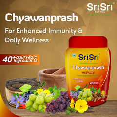 Sri Sri Tattva Ayurvedic Herbal Immunity Booster 40+ Ingredients Chyawanprash