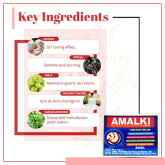 Aimil Ayurvedic Amalki For Fast Relief 30 Tablet