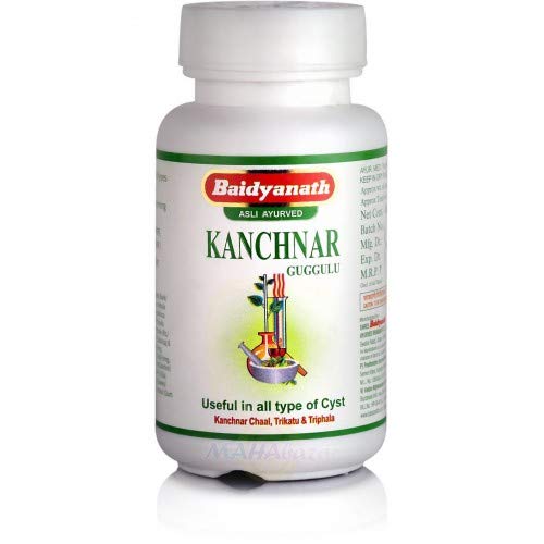 Baidyanath Ayurvedic Jhansi Kanchanar Guggulu 80 Tabletten