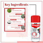 Aimil Ayurvedic Dermacharge Talkumpuder für Hautinfektionen und Allergien 