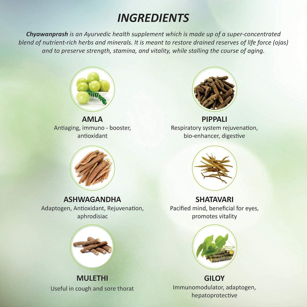 Baidyanath Ayurvedische Chyawanprash-Spezial-Immunitätsverstärker-Paste für Kraft