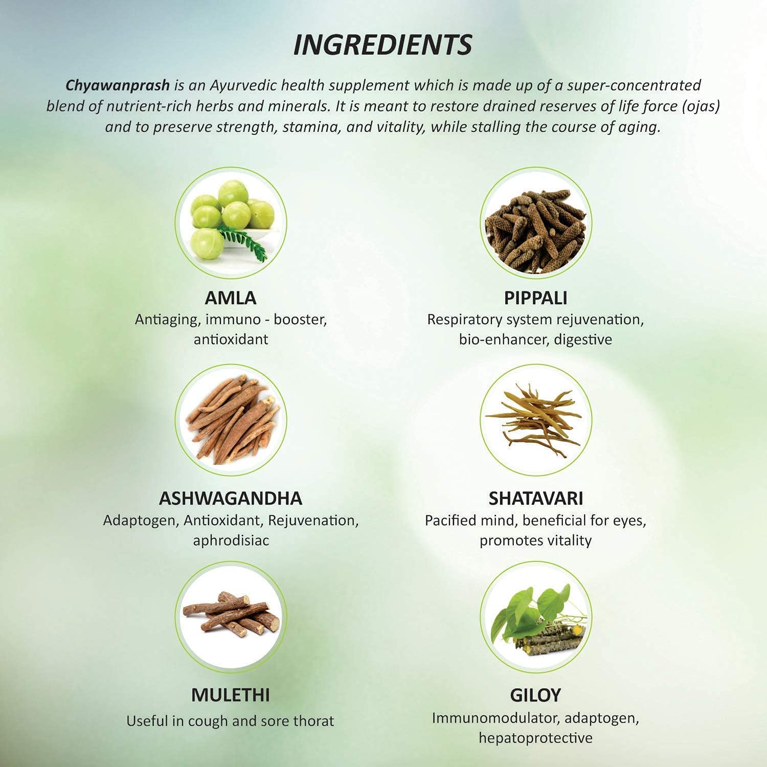 Baidyanath Ayurvedische Chyawanprash-Spezial-Immunitätsverstärker-Paste für Kraft