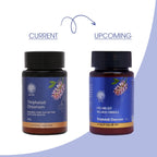 AVP Ayurvedic Triphaladi Choornam Churan Powder 40g