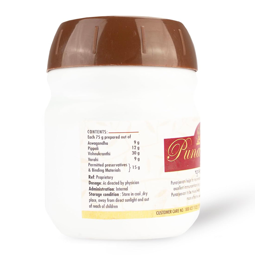 AVP Ayurvedic Punarjeevani Powder 75g