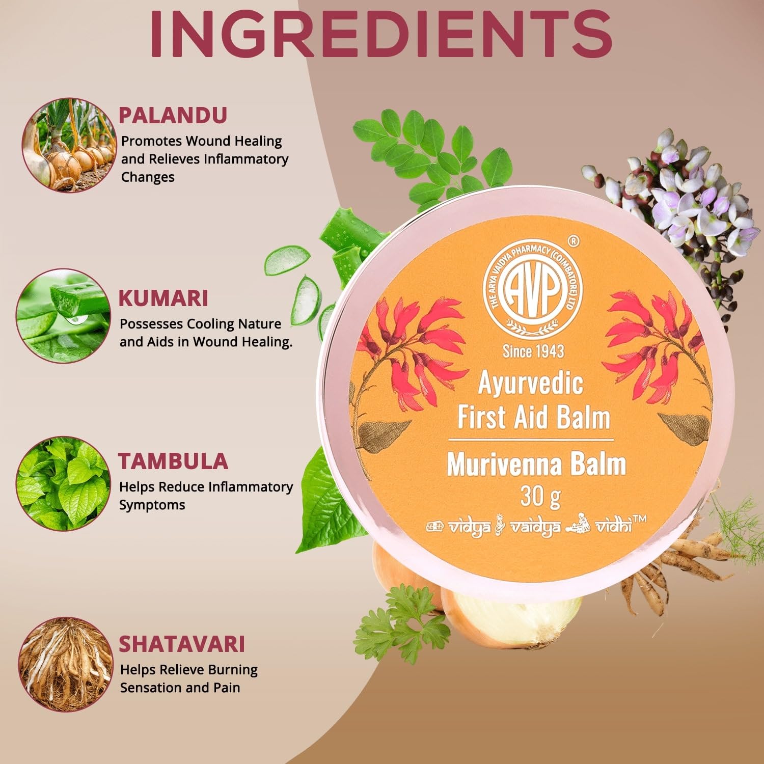 AVP Ayurvedic Murivenna Antiseptic First Aid Pain Relief Ayurvedic Balm 30g