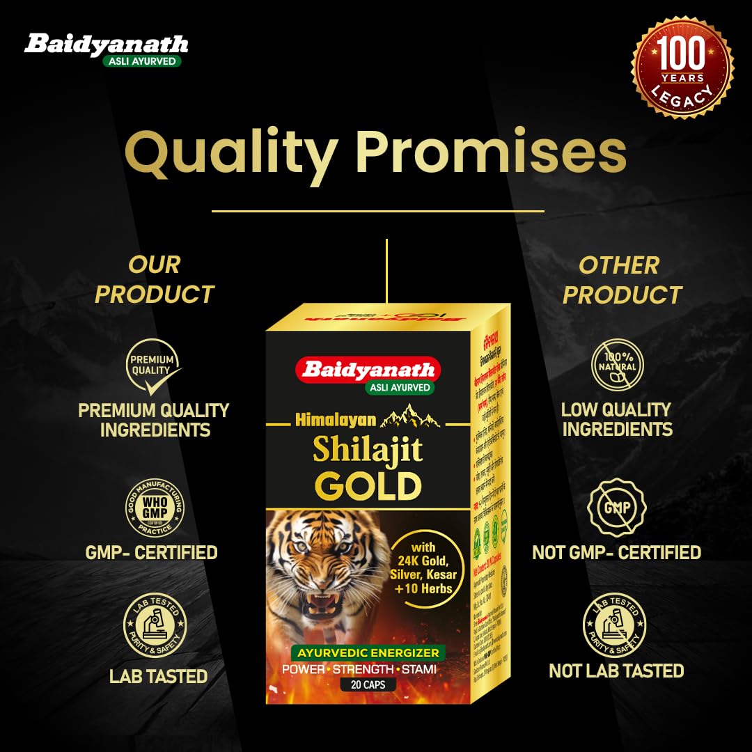 Baidhyanath Ayurvedic Shilajit Forte With Gold 20 Capsule