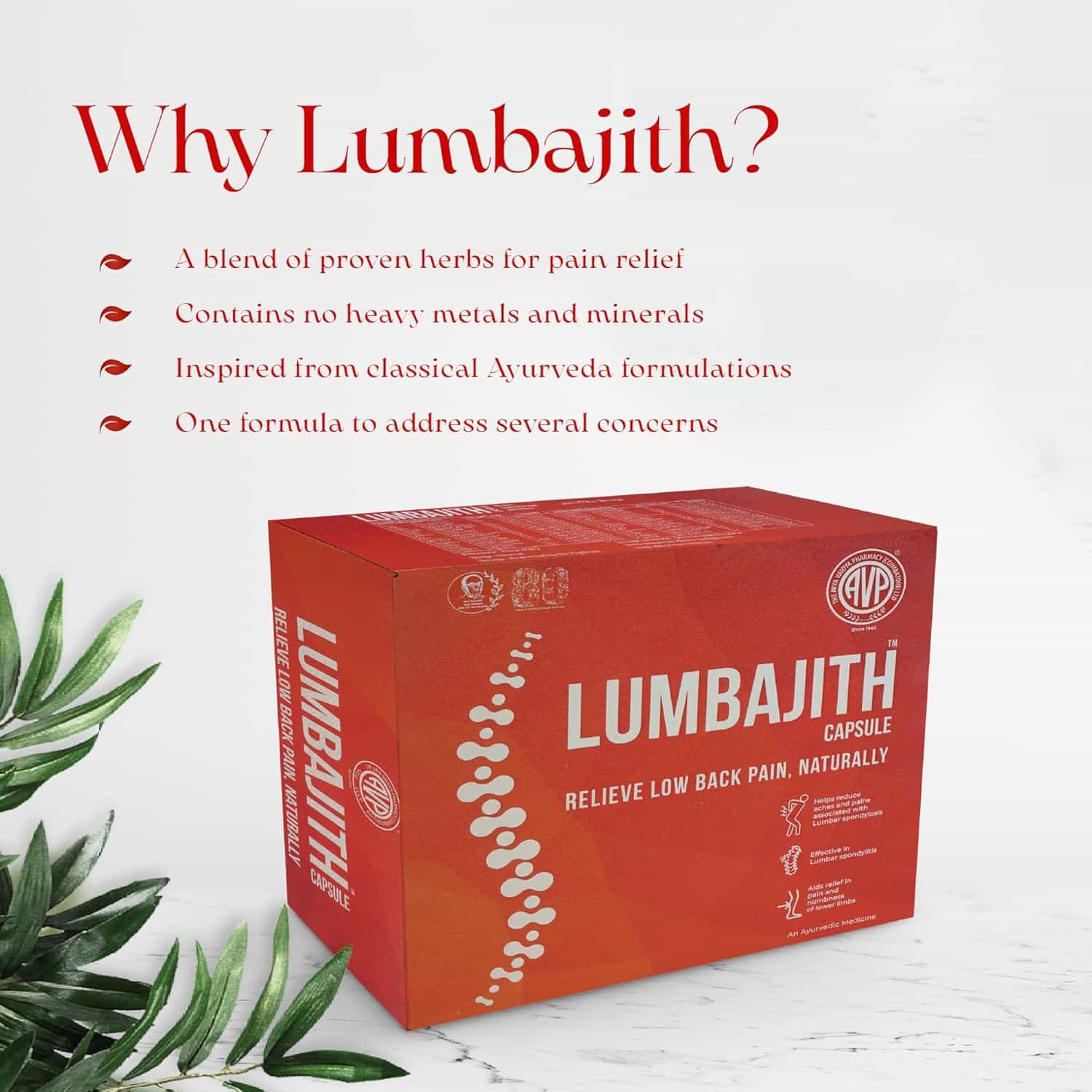AVP Lumbajith Ayurvedic Capsules – 10 Capsules