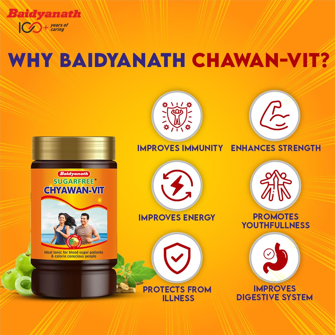 Baidyanath Ayurveda Chyawan Vit Zuckerfreier Chyawanprash stärkt die Immunität und steigert die Kraft