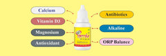 Siddhant Ayurvedic Chuna Gut für die Gesundheit Limette 100 % SLACK LIME DROPER Tropfen 15ml