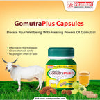 Pitambari Ayurvedisches Gomutra Plus, angereichert mit Triphala-Pulverkapsel