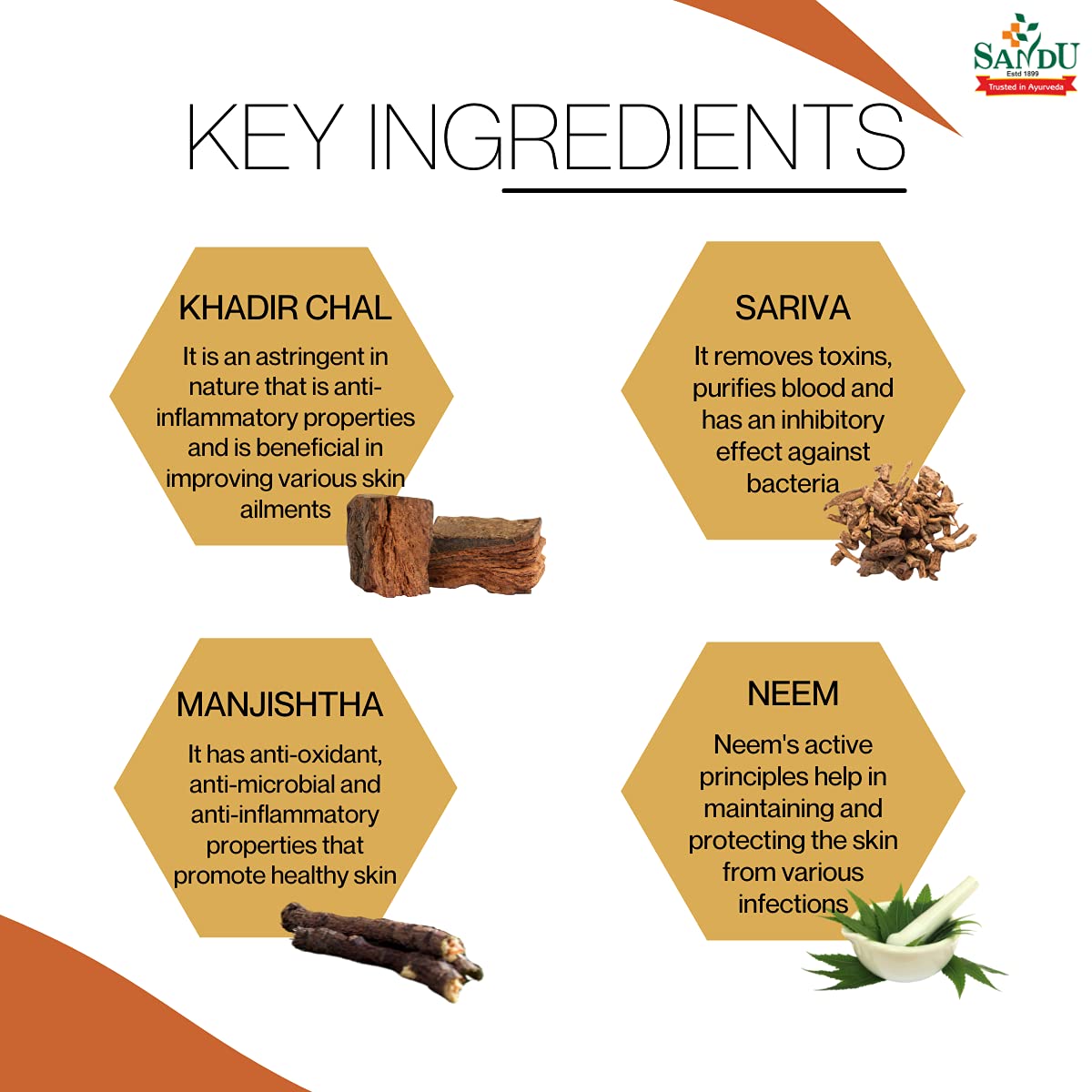 Sandu Ayurvedic Hemocleen Excellent Blood Purifier Liquid