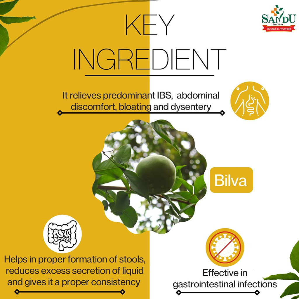 Sandu Ayurvedic Bilagyl Chyanprash Paste 250g