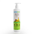 Mamaearth Tea Tree Anti Dandruff Shampoo 250ml