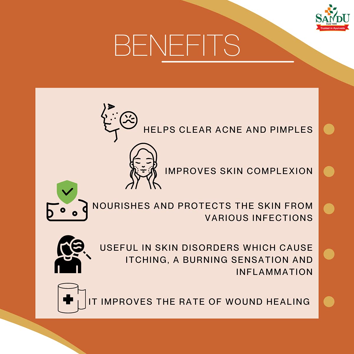 Sandu Ayurvedic Hemocleen Excellent Blood Purifier Liquid