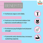 Sandu Ayurvedic Vimfix Energiser & Rejuvenator Tablets