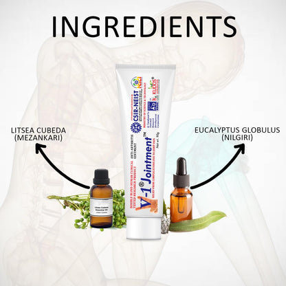 Kudos V 1 Pain Relief