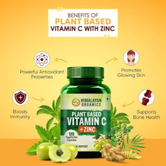 Himalayan Organics, pflanzliches Vitamin C mit Zink als Amla-Extrakt, strahlende Haut und Immunität, 120 Kapseln