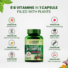 Himalayan Organics - Pflanzlicher Vitamin-B-Komplex mit 100 % der empfohlenen Tagesmenge an B1, B2, B3, B5, B6, B9 und B12 - Haarwachstum, Energie- und Immunschub - Vegetarische Kapseln