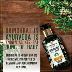 Himalayan Organics Bhringraj Shampoo For Hair Growth 300ml