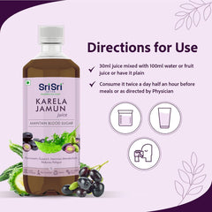 Sri Sri Tattva Ayurvedic Karela Jamun Juice Formula For Blood Sugar Levels Liquid