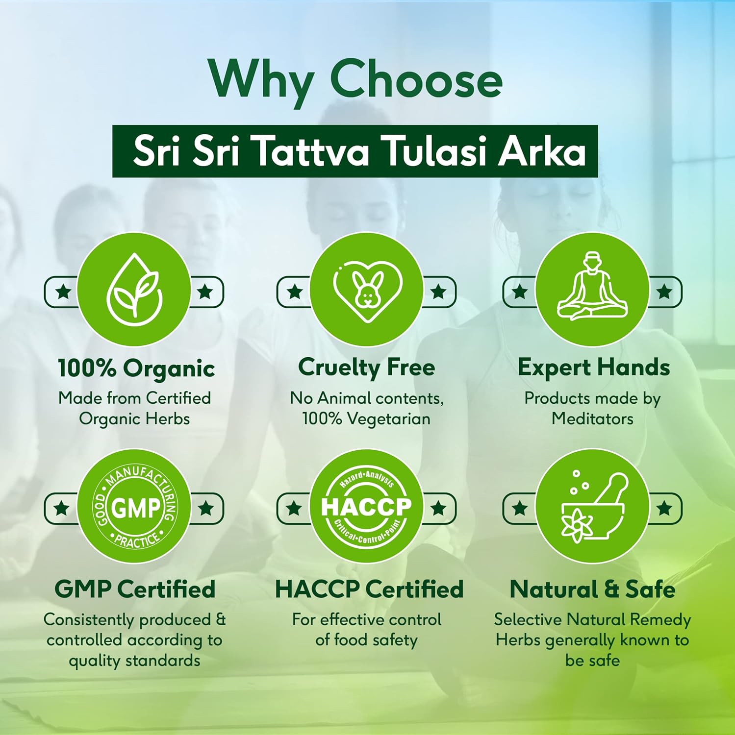 Sri Sri Tattva Ayurvedic Tulasi Arka Supports Respiratory Health 30ml