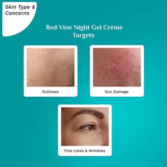 Pilgrim Cosmetics Red Vine Night Gel Crème with Retinol,Mulberry & Vit C 50gm