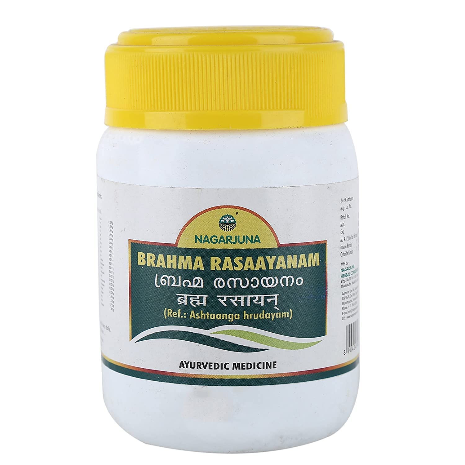 Nagarjuna Ayurvedic Brahma Rasayanam Paste 300g