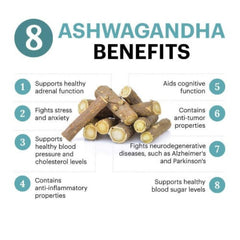 Dhootapapeshwar Ayurvedic Ashwagandha Ashvagandha 100% Natural Physical Tablet