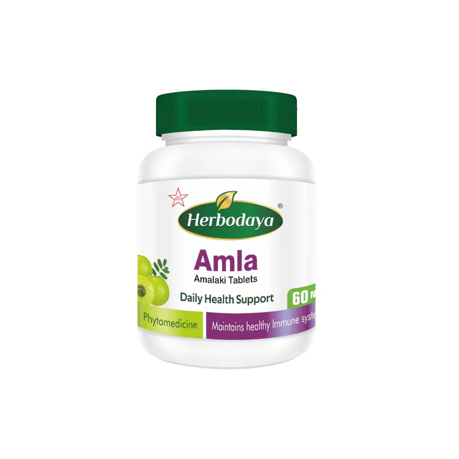 Skm Siddha Ayurveda Herbodaya Amla 60 Tablets